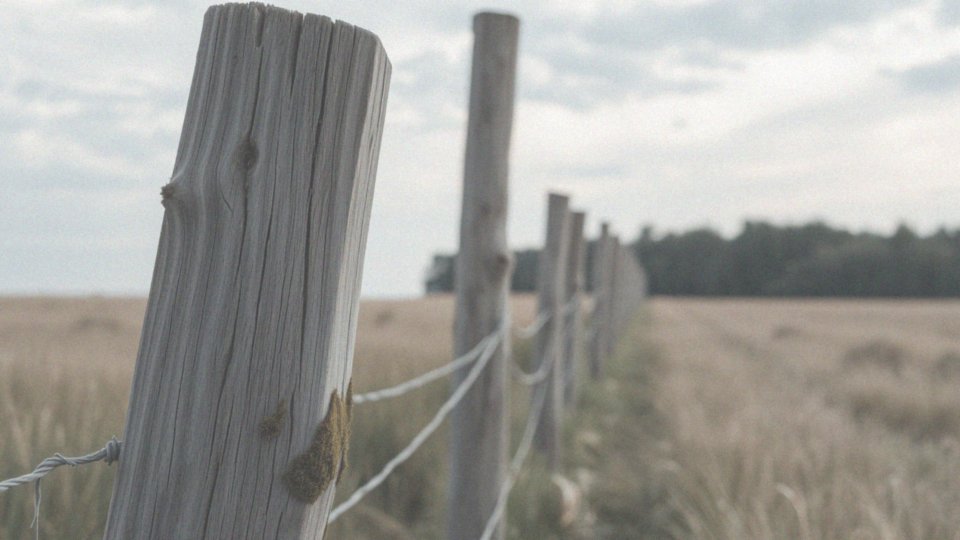 Jakie są skutki braku odpowiedniej ochrony drewna?