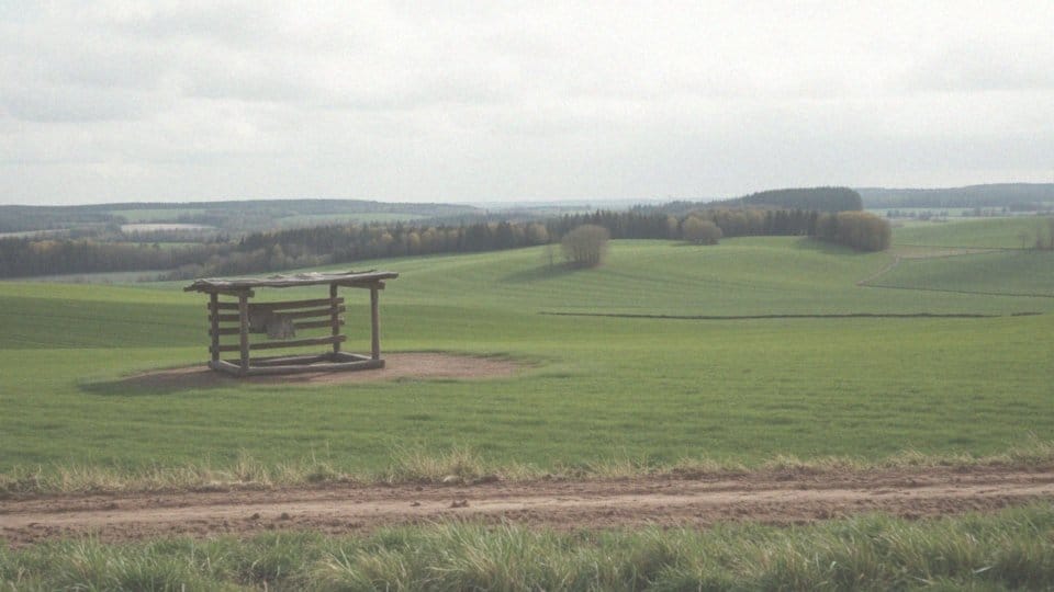 Jakie przepisy regulują budowę wiat w obszarach ochrony gruntów rolnych i leśnych?